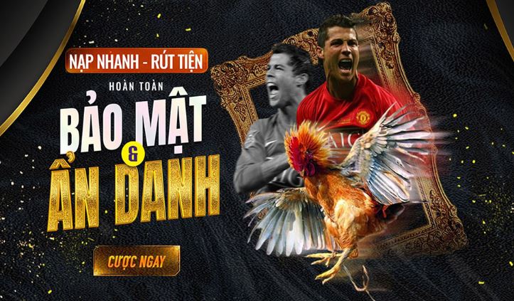 Daga88 Kỷ nguyên mới dẫn đầu trong lĩnh vực trò chơi điện tử thùng - Daga88