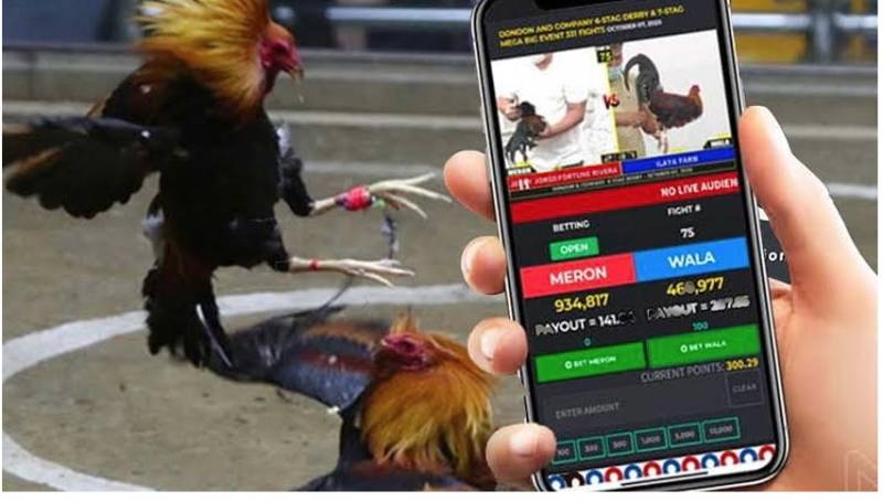 Hướng dẫn cách tải game thẻ bài Super Bull Daga88 - Daga88